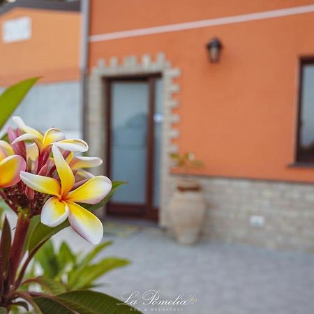 La Pomelia B&B Sofia 特拉皮泰罗 外观 照片