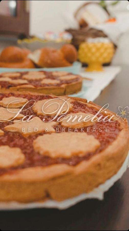 La Pomelia B&B Sofia 特拉皮泰罗 外观 照片