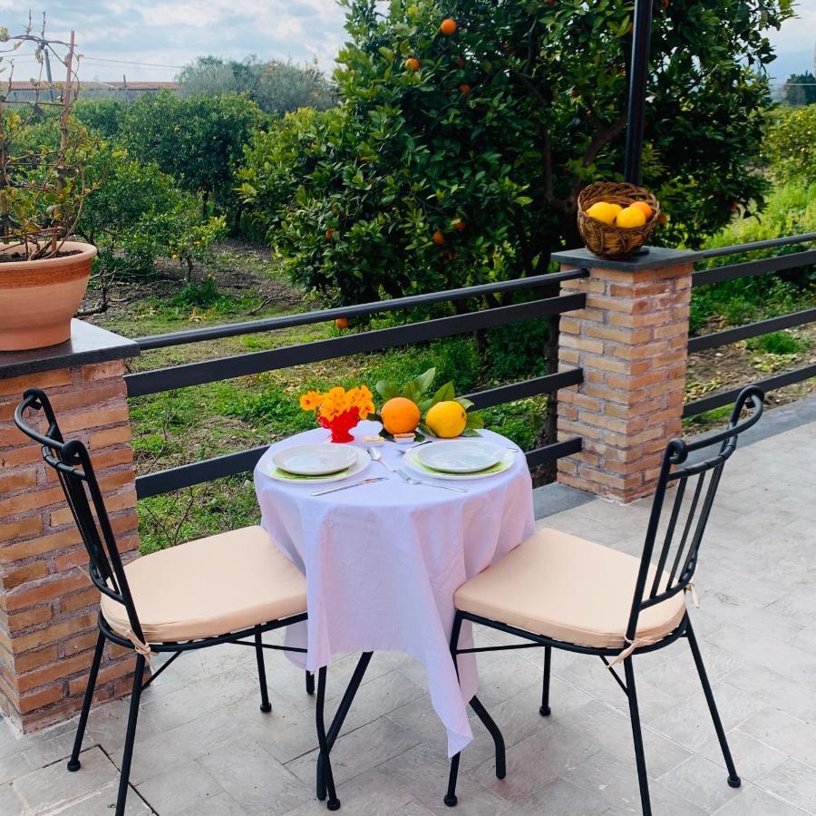 La Pomelia B&B Sofia 特拉皮泰罗 外观 照片