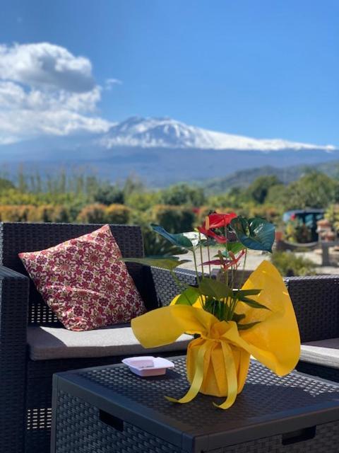 La Pomelia B&B Sofia 特拉皮泰罗 外观 照片
