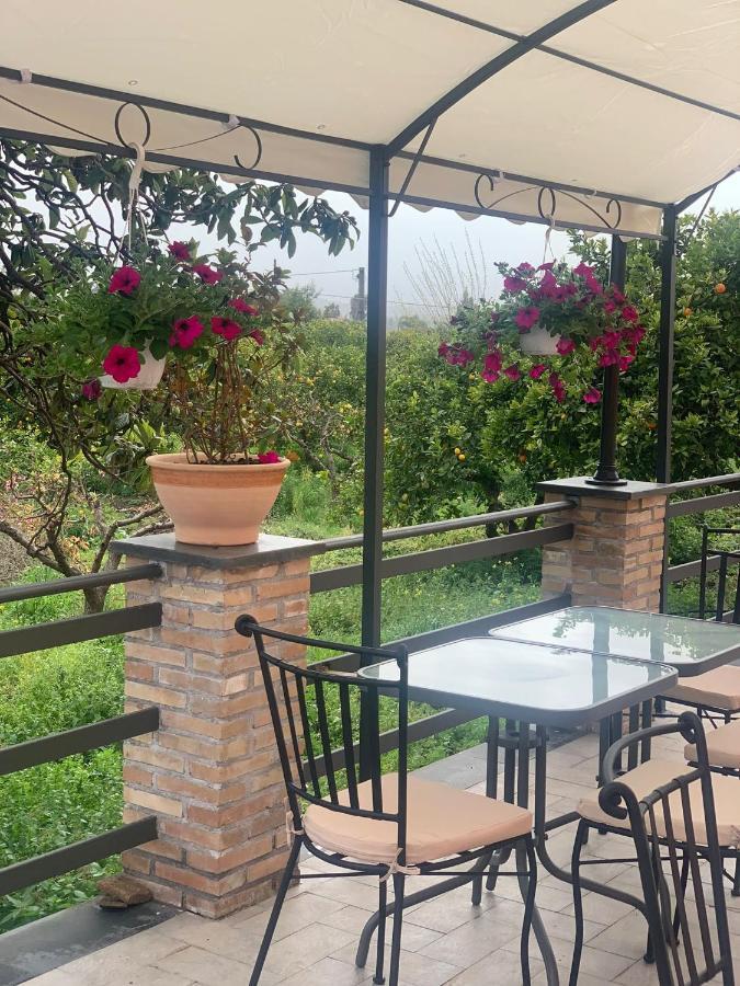 La Pomelia B&B Sofia 特拉皮泰罗 外观 照片