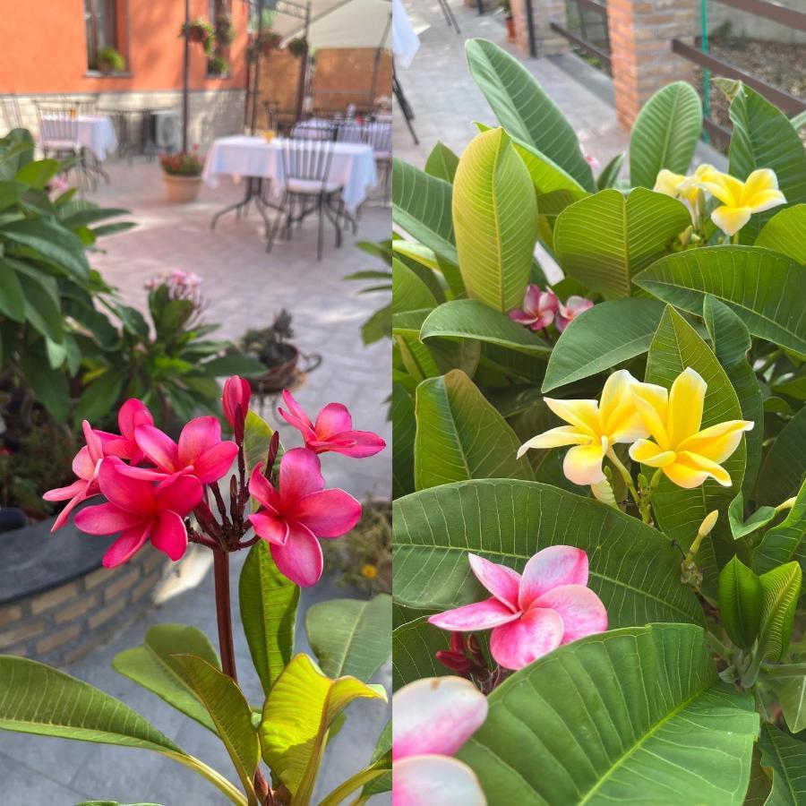 La Pomelia B&B Sofia 特拉皮泰罗 外观 照片