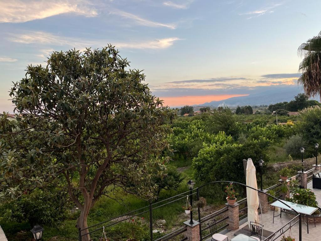 La Pomelia B&B Sofia 特拉皮泰罗 外观 照片