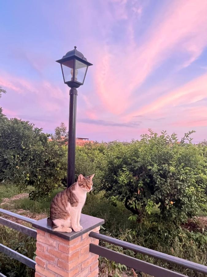 La Pomelia B&B Sofia 特拉皮泰罗 外观 照片